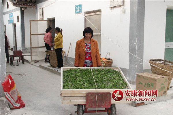 �Q�r(n��ng)��(l��i)�������簴Ʊ�I(l��ng)ȡ�Q�N����(du��)С�Q������ρ�Qٝ���^�� (2).jpg