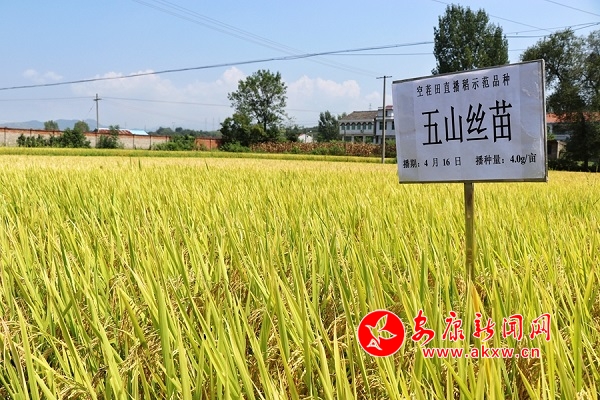 IMG_7061(20180824-182105)_副本.jpg