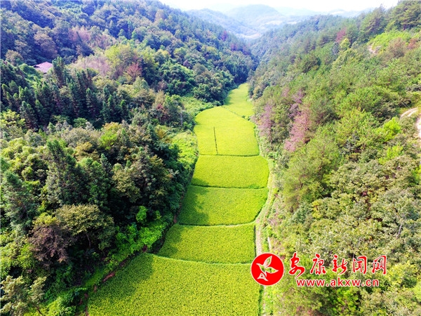 2.��(j��)�˽����@��ĵ��Ȍ�����ˮ�����ǵ��ȵ�һ�N��ֻ�������ܵ���?xi��ng)l�����ƺ�Ӱ������ڹ�ȵ����ˮ��ȫȡ����ɽ�֏�����ˮ�|(zh��)��