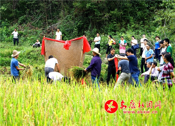 1.9��5�գ�λ�ڰ�����ƽ���h�����(zh��n)Ů�zɽ�����ϵ�320��ԭ���B(t��i)�r(n��ng)����ʽ�_��ո�����(sh��)ʮ���R�����g���^������ѝ�ȣ��ֳ��