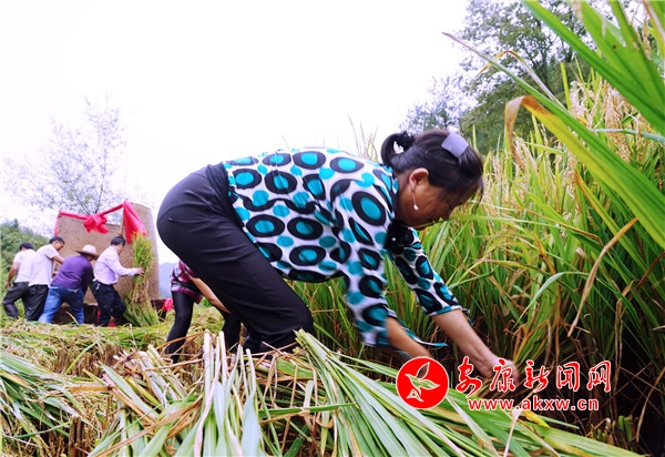 6.�ڬF(xi��n)��(ch��ng)��ֻҊ10��λ�������ֳ�砣�����ץ������������һ�����������������R�Ĕ[��������&ldquo;�����&rdquo;Ҋ�p������������