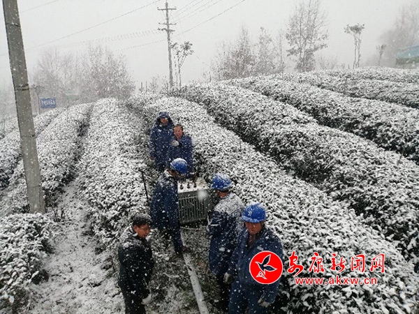 ��@�а�׃���� (1).jpg