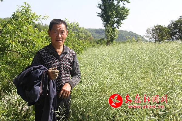 67�q�ď����F������(l��i)�����e(cu��)��������Ͳ������������f(shu��)��ȥ�����µ�600��߀�������������u�������Լ��̓���������������̤��(sh��)