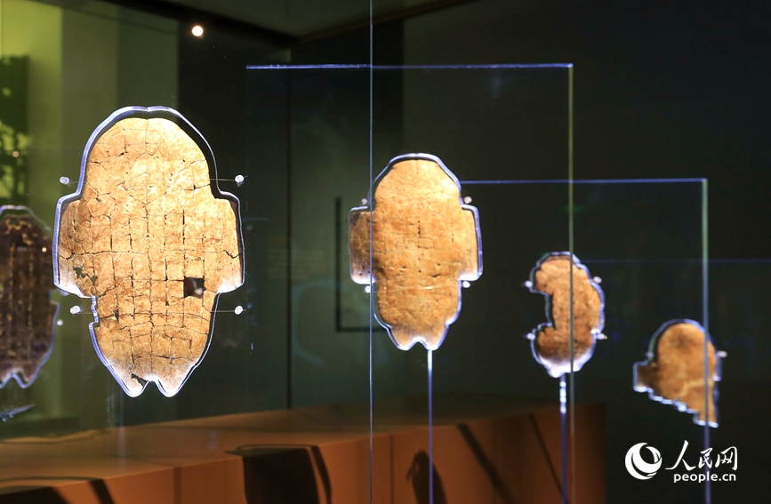 殷墟博物館展出的甲骨文。人民網記者 慎志遠 攝