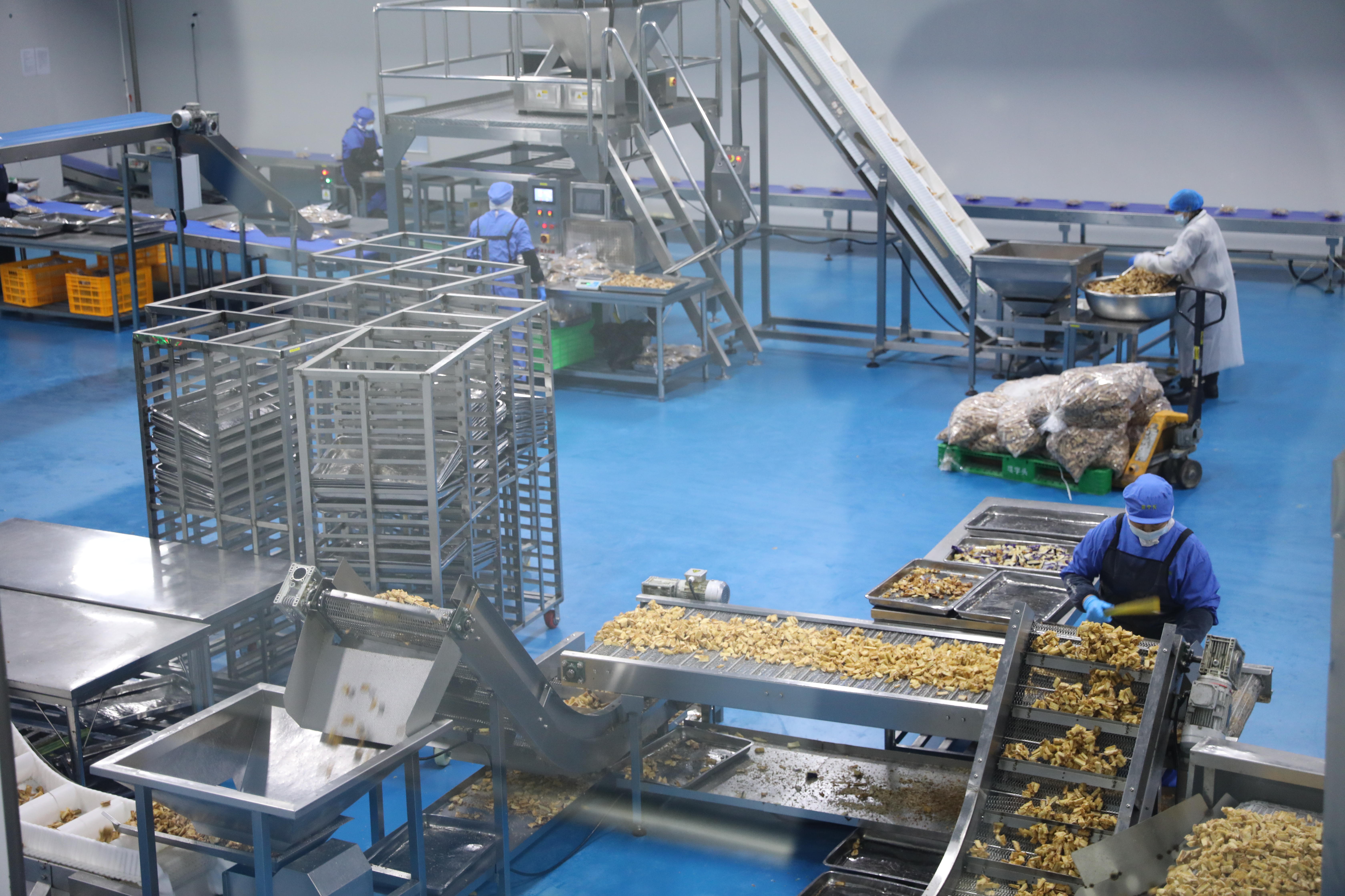 菜字頭食品科技有限公司車間生產(chǎn)現(xiàn)場