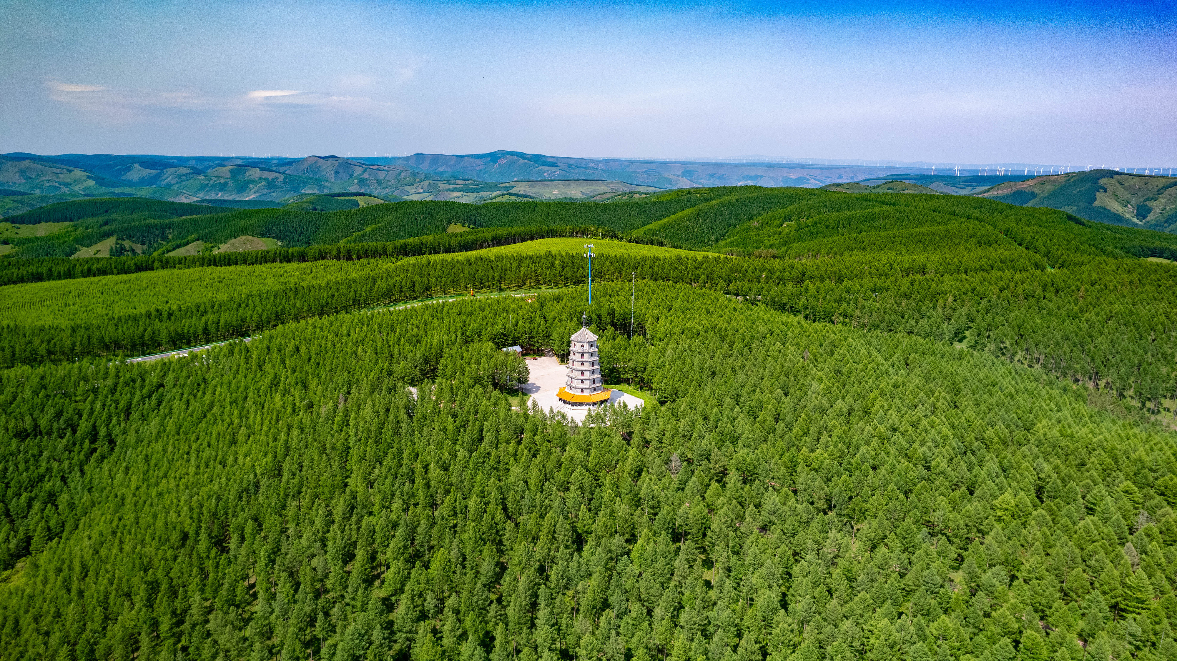 2025年6月11日，河北承德，塞罕壩林海浩渺。